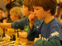 P1128537.JPG